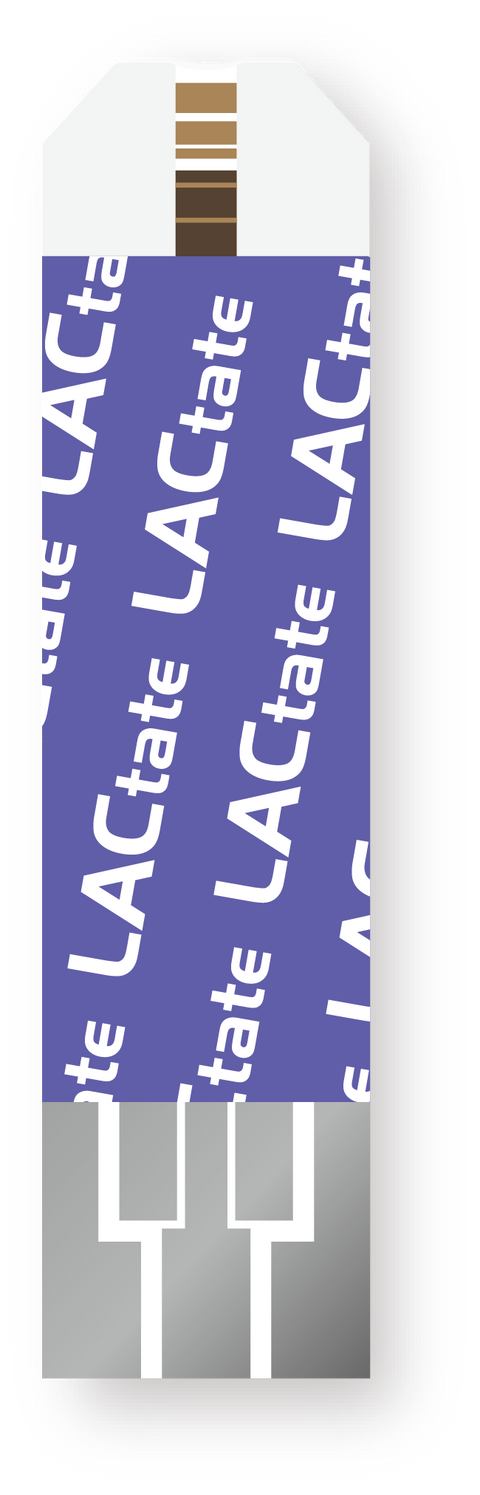 GlucoRx X6 Lactate Test Strips x 50 packs (10pcs per pack)